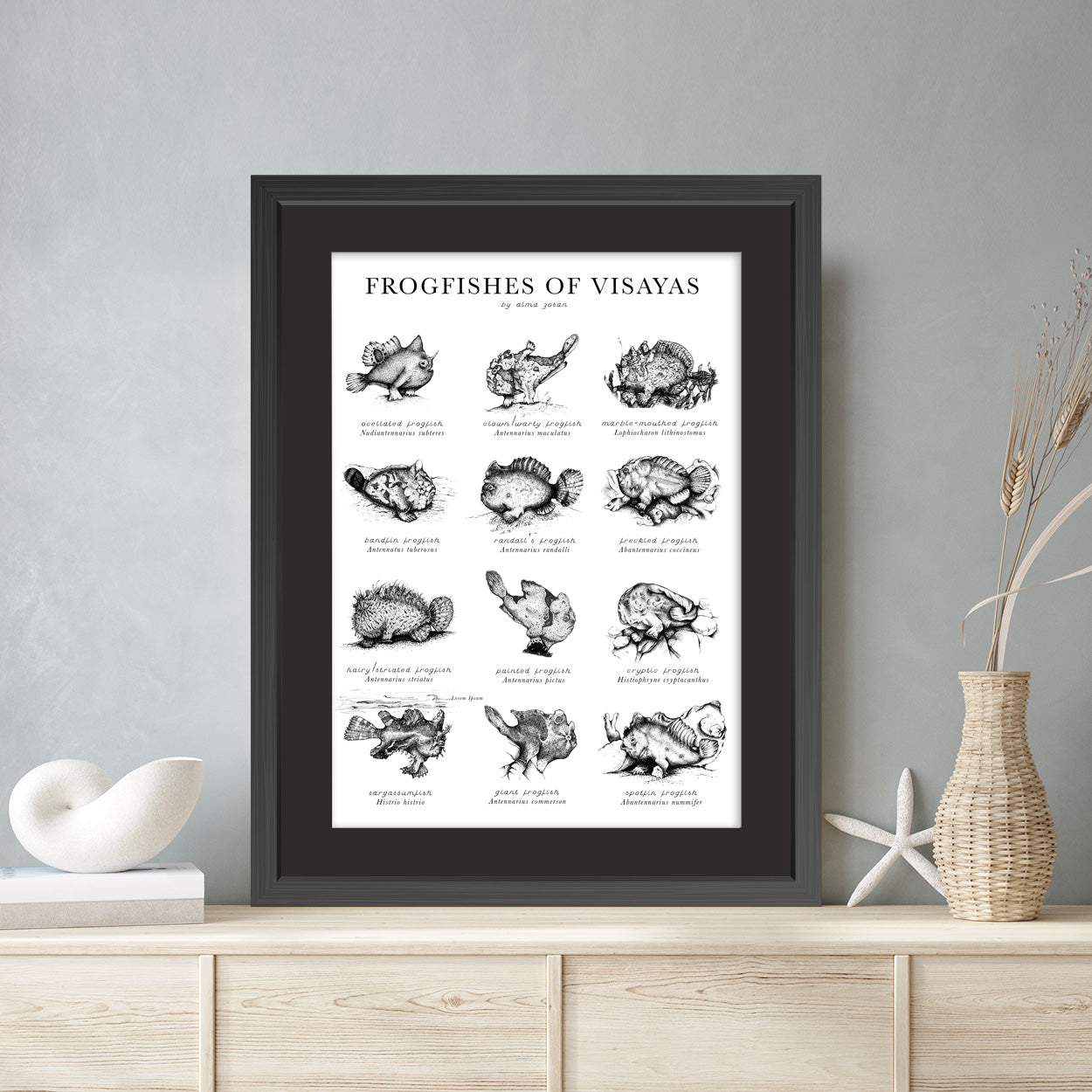 frogfish, underwater, dive, diving, diver, Alma Zosan, artist, Filipino, Negros Oriental, Dauin, ocean, oceanic, pen and ink. black and white, illustration, Philippines, Visaya, framed, framing
