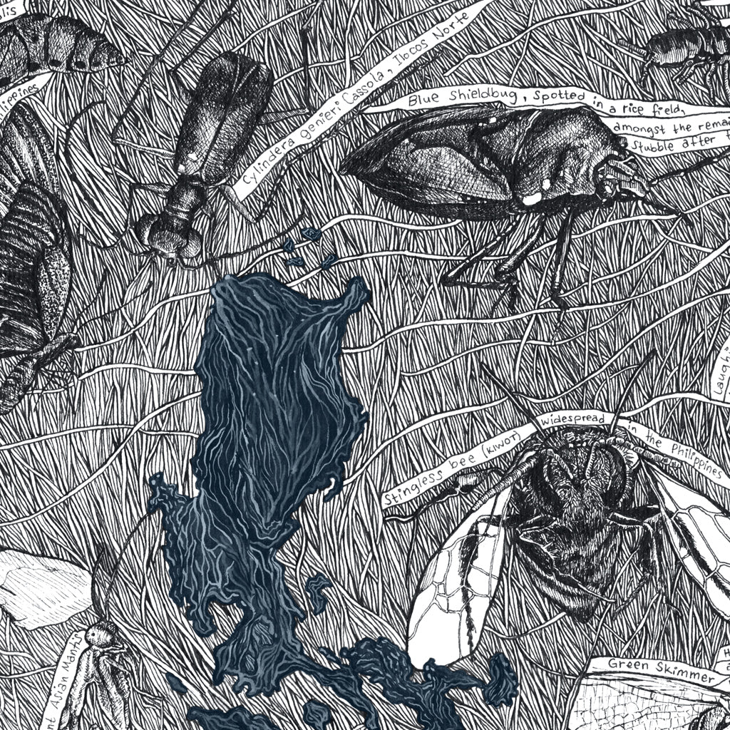 Insect Map of the Philippines Limited Edition Art Print by Alta Jia