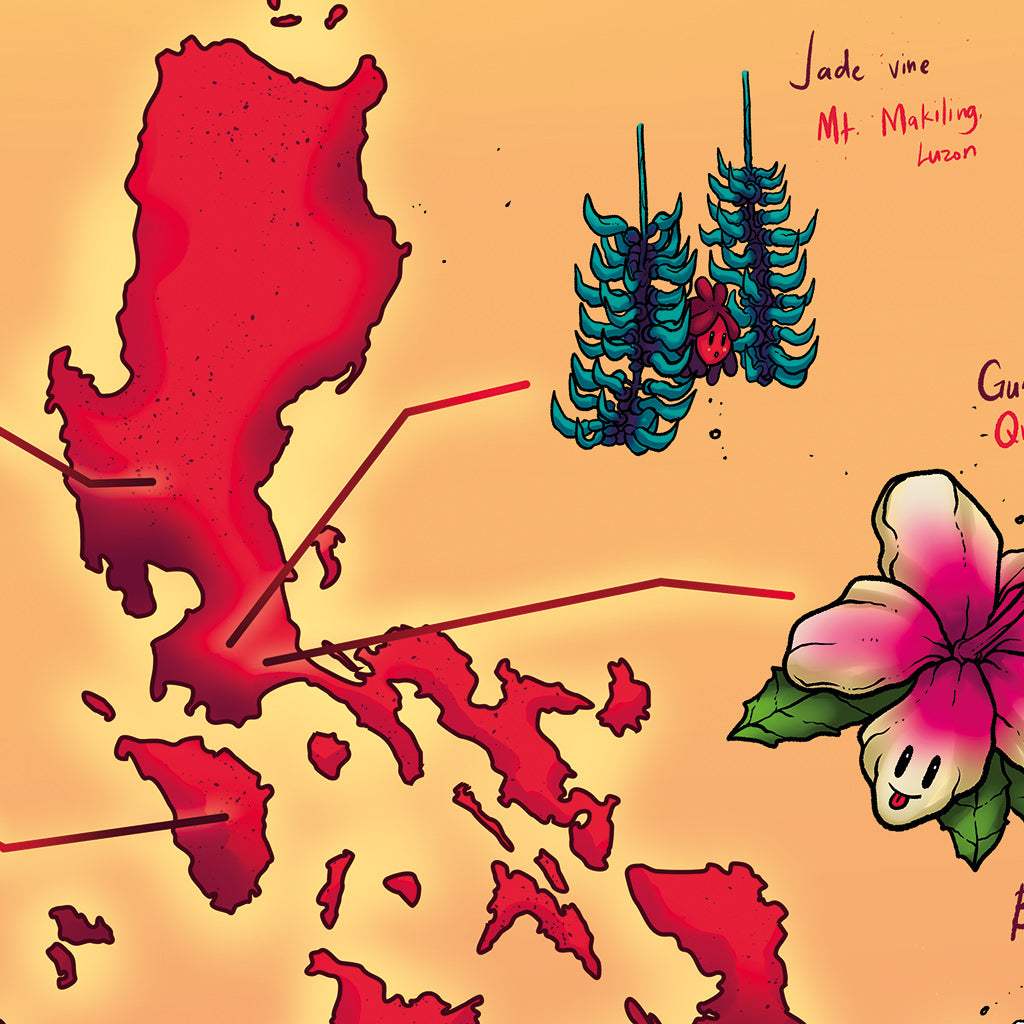 Flowers Filipino Flora Cil Flores Dumaguete city graphic artist map project exhibit Negros Oriental Pinspired Art Souvenirs Wall Art Decoration Pinta PH Maps Philippines Tourist Gift Hotel Hostel Resort gift idea Luzon