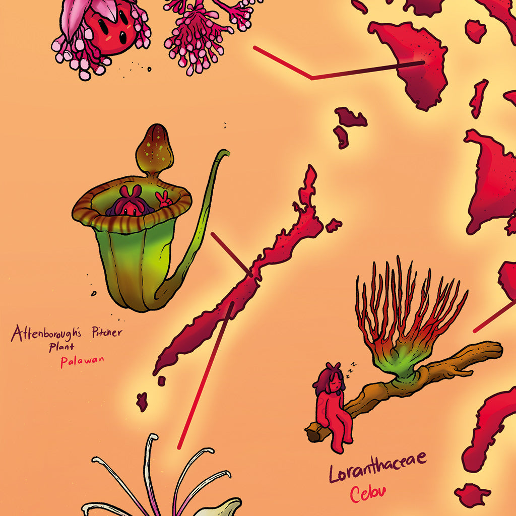 Flowers Filipino Flora Cil Flores Dumaguete city graphic artist map project exhibit Negros Oriental Pinspired Art Souvenirs Wall Art Decoration Pinta PH Maps Philippines Tourist Gift Hotel Hostel Resort gift idea Palawan Cebu