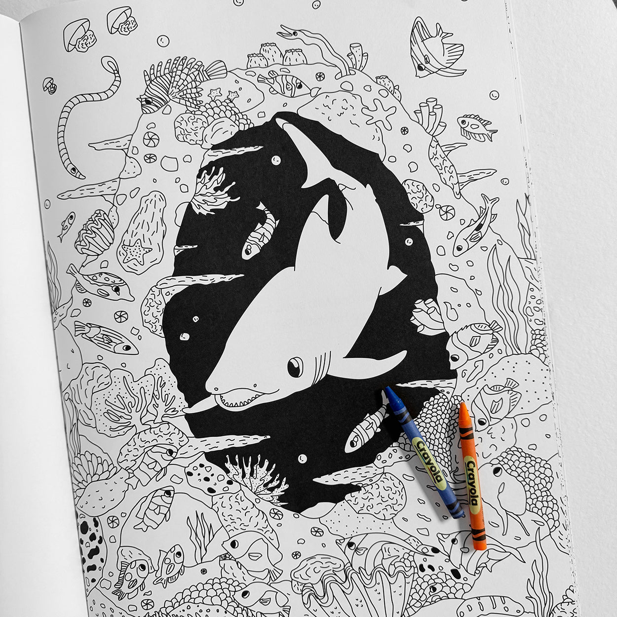 Kids, Children, Negros Oriental, Schools, Educational, Green Sea Turtle, Marine Creatures, Drawing, draw, color, colour, gift, idea, philippine, Philippines, Filipino, artist, Dumaguete city, Dauin, Marine Sanctuary, Anais Vera Salvarita, Underwater, Journey, bed time, book,