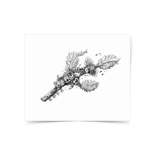 Angelo Delos Santos, Dumaguete Inker, Artwork, Pen and ink, exhibition, original, marine creatures, conservation, Filipino, artist, art Philippines, Negros Oriental, Dumaguete city, Pinspired Art Souvenirs, The Henry Resort, Silver Reef Dive Resort, dive, diving, diver, photography