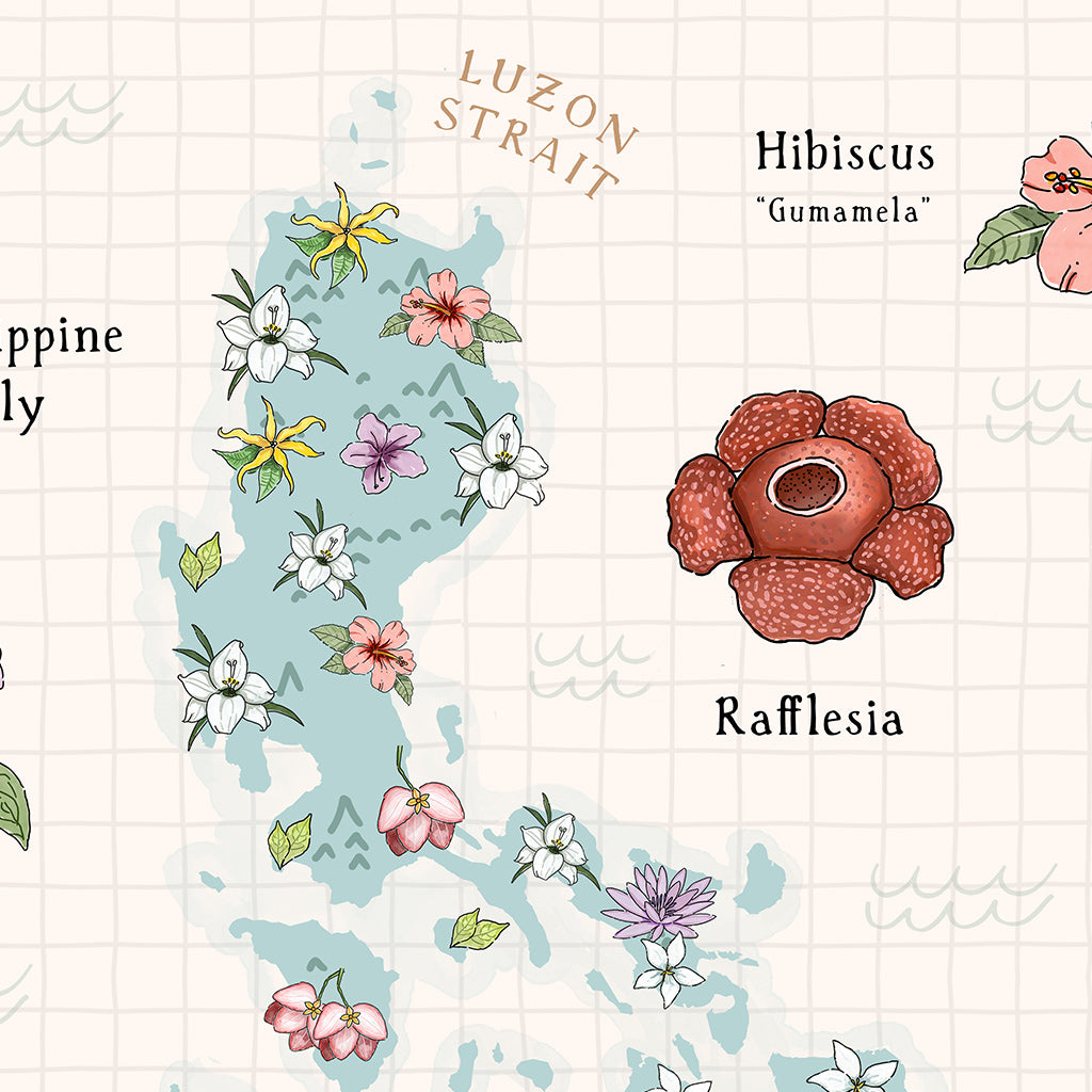 Local Dumaguete artist Filipino Artistry Wall Decoration Home Office Tourist Resort Pastel Tones Cute Philippine Lily Violet Rose Grape Ilang-ilang Lotus Flower Attenborough's Pitcher Plant Waling-Waling Sampaguita Queen Sirikit Aghoy Jane Vine Tayabak Rafflesia Hibiscus Gumamela Map of PH Pinta Project close up