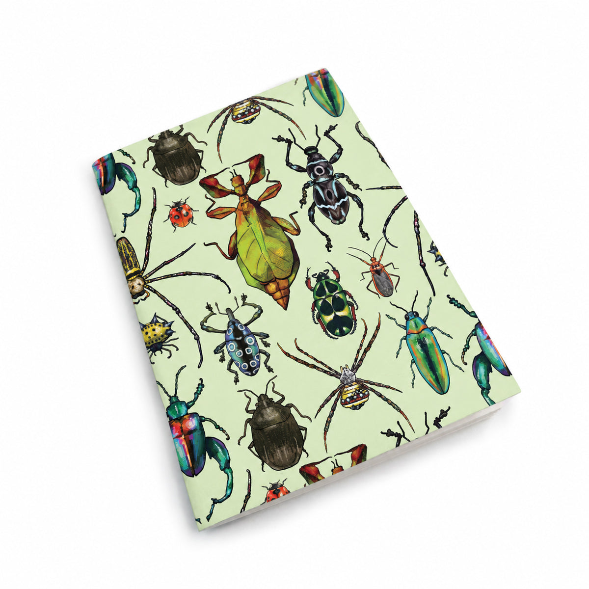 Insects of the Philippines Notebook