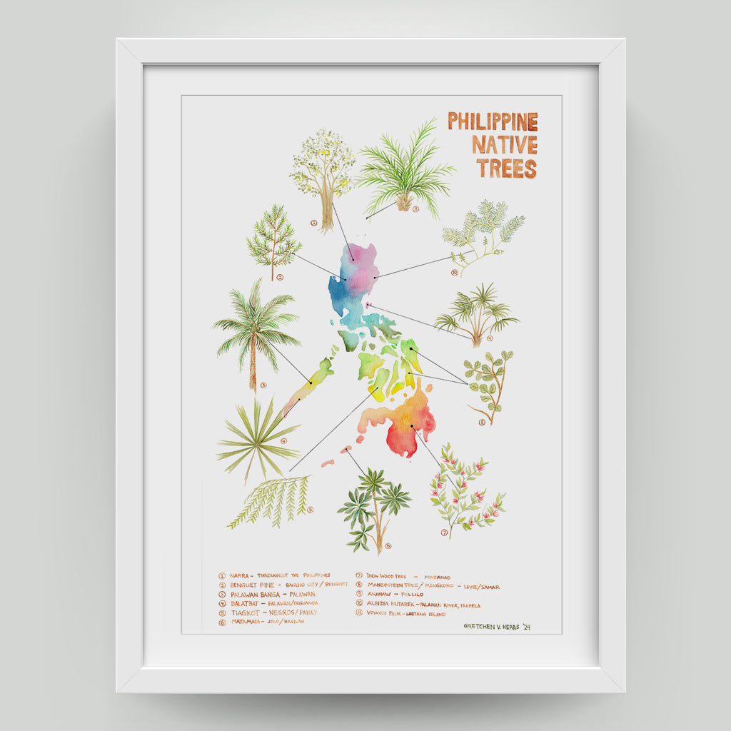 National Native Trees of the Philippines Narra tree Palawan Banga Balatbat watercolour artwork flora Archipelago limited copy textured paper wall decor decoration tourist home space office framed framing frame