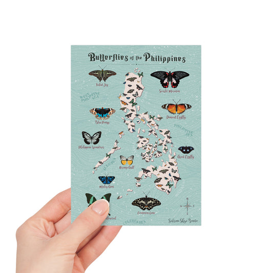 Filipino artist graphic butterfly species local pinoy coloured decoration decor idea tourist map art print artwork collection cute actual size post office postcrossing PH snailmail