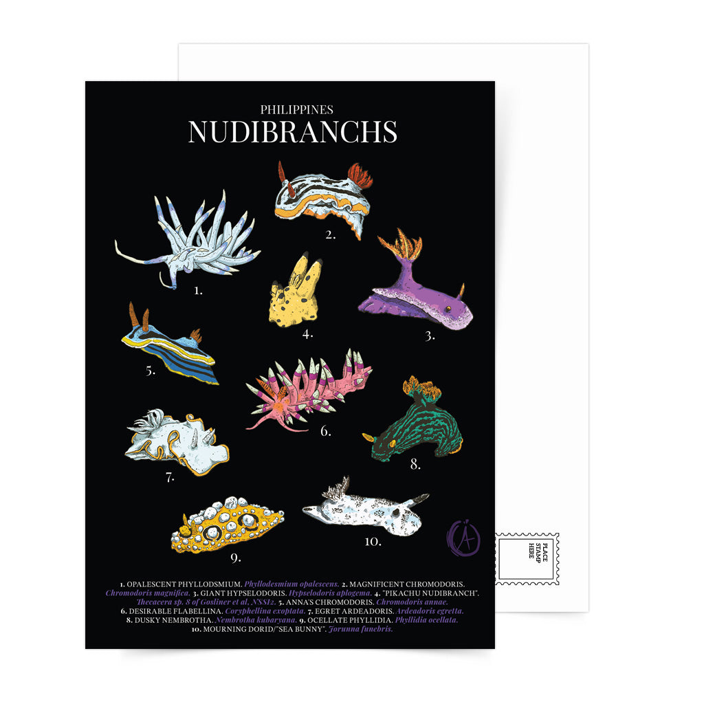 Giant Hypselodoris, Desirable Flabellina, Coryphellina exoptata, Sea Bunny, Jorunna funebris, Ocellate, Phyllidia ocellata, Opalescent Phyllodsmium, opalescens, Egret Ardeadoris, egretta, Coleman's Melibe, colemani, Magnificent Chromodoris, magnifica, Pikachu Nudibranch, Thecacera, tourist, gift, souvenirs, diving, diver, dive, Dumaguete, Mabini, Batangas, Puerto Galera, Coron, Negros Oriental, El Nido, Romblon, Logon, Bohol, Cebu, snailmail. postcrossing, post office