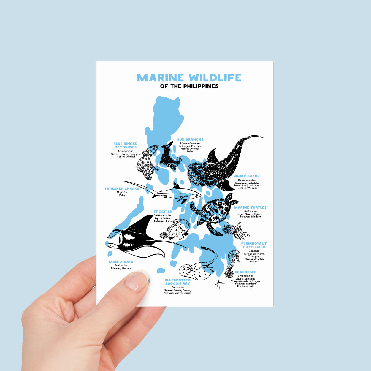 Marine Wildlife of the Philippines Postcard by Alma Zosan