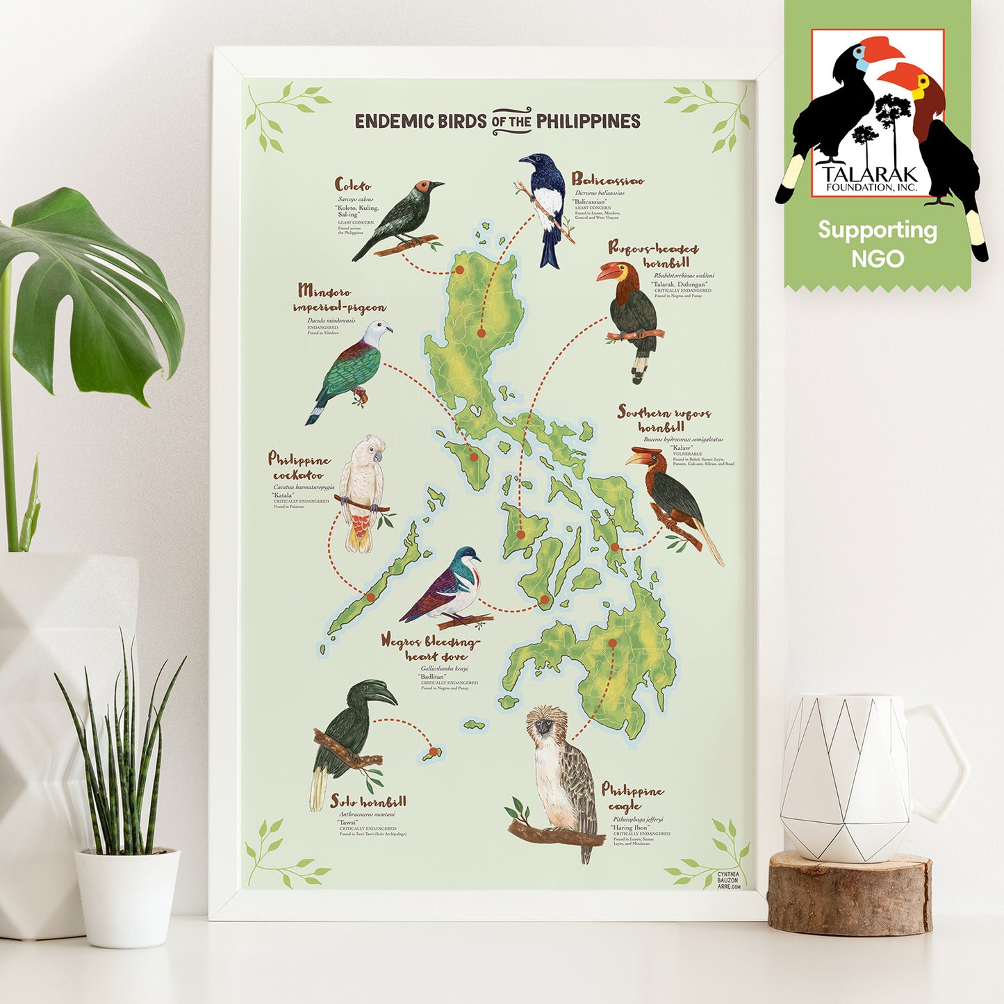 Coleto Bird Filipino Endemic Balicassiao Rubous-headed Hornbill Southern Rubous Hornbill Philippine Eagle National Symbol Supporting NGO Talarak Foundation Negros Oriental Sulu Hornbill Negros Bleeding Heart Dove Cockatoo Mindoro Imperial Pigeon Wall decor decoration home office tourist space framed framing frame