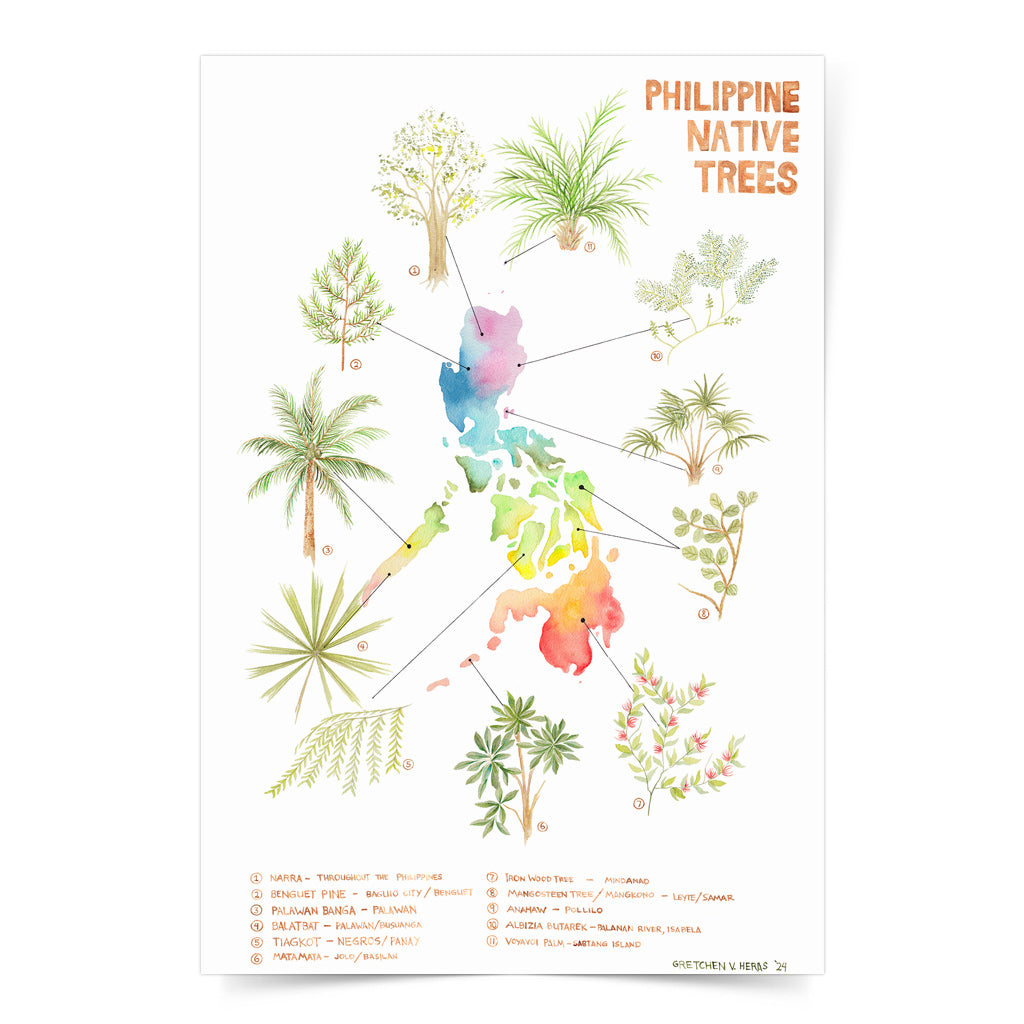 National Native Trees of the Philippines Narra tree Palawan Banga Balatbat watercolour artwork flora Archipelago limited copy textured paper wall decor decoration tourist home space office