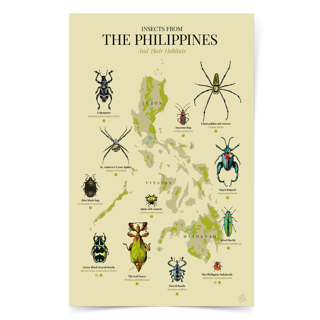 insect bug spider Luzon Visayas Mindanao Islands Map PH Habitat Coleoptera Giant golden orb weaver St. Andrew's Cross Spider Rice black bug Assassin Bug Spiny orb-weaver Sagra buqueti Green Black Scarab beetle The leaf insect Weevil Beetle Jewel Beetle The Philippine ladybeetle The leaf insect Green Black Scarab beetle Home decor decoration print Filipino artist high quality paper