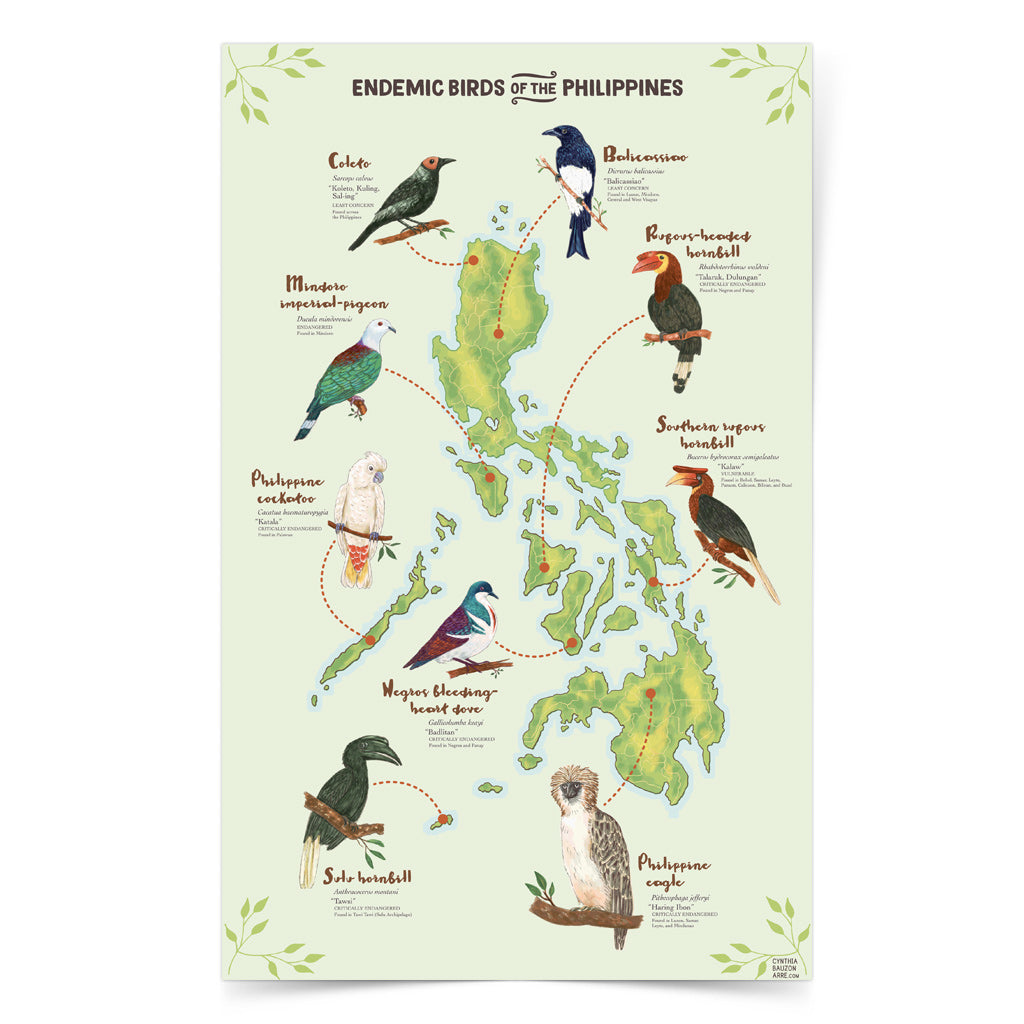 Coleto Bird Filipino Endemic Balicassiao Rubous-headed Hornbill Southern Rubous Hornbill Philippine Eagle National Symbol Supporting NGO Talarak Foundation Negros Oriental Sulu Hornbill Negros Bleeding Heart Dove Cockatoo Mindoro Imperial Pigeon Wall decor decoration home office tourist space