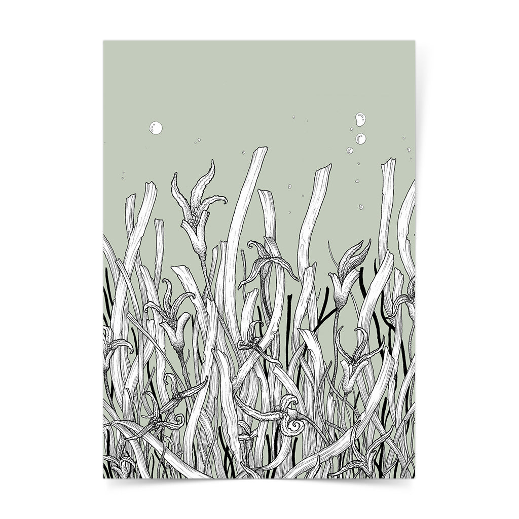 seagrass protect ocean philippines sea original copy dugong art pen and ink drawing artwork underwater space coral black and white wall decor framed artist proof limited edition