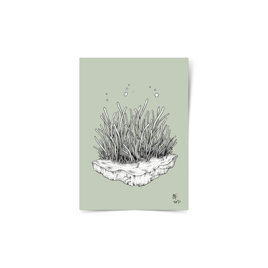 seagrass protect ocean philippines sea original copy dugong art pen and ink drawing artwork underwater space coral black and white wall decor framed artist proof limited edition Negros Oriental Dumaguete city