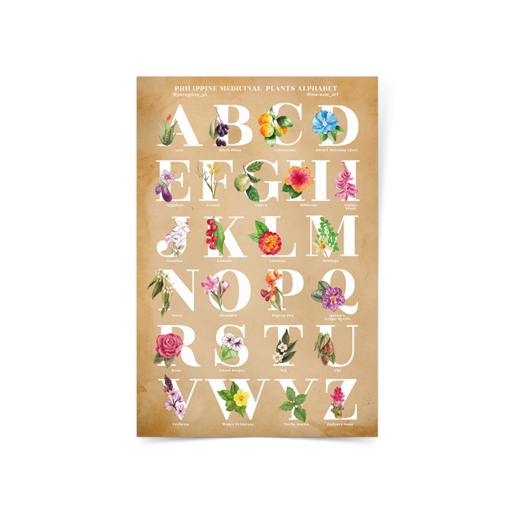 watercolor, art poster, wall, decor, Cebu, filipino, artist, graphic, medicine, office, study, flowers, plant, gift idea, Philippines, flower, plant