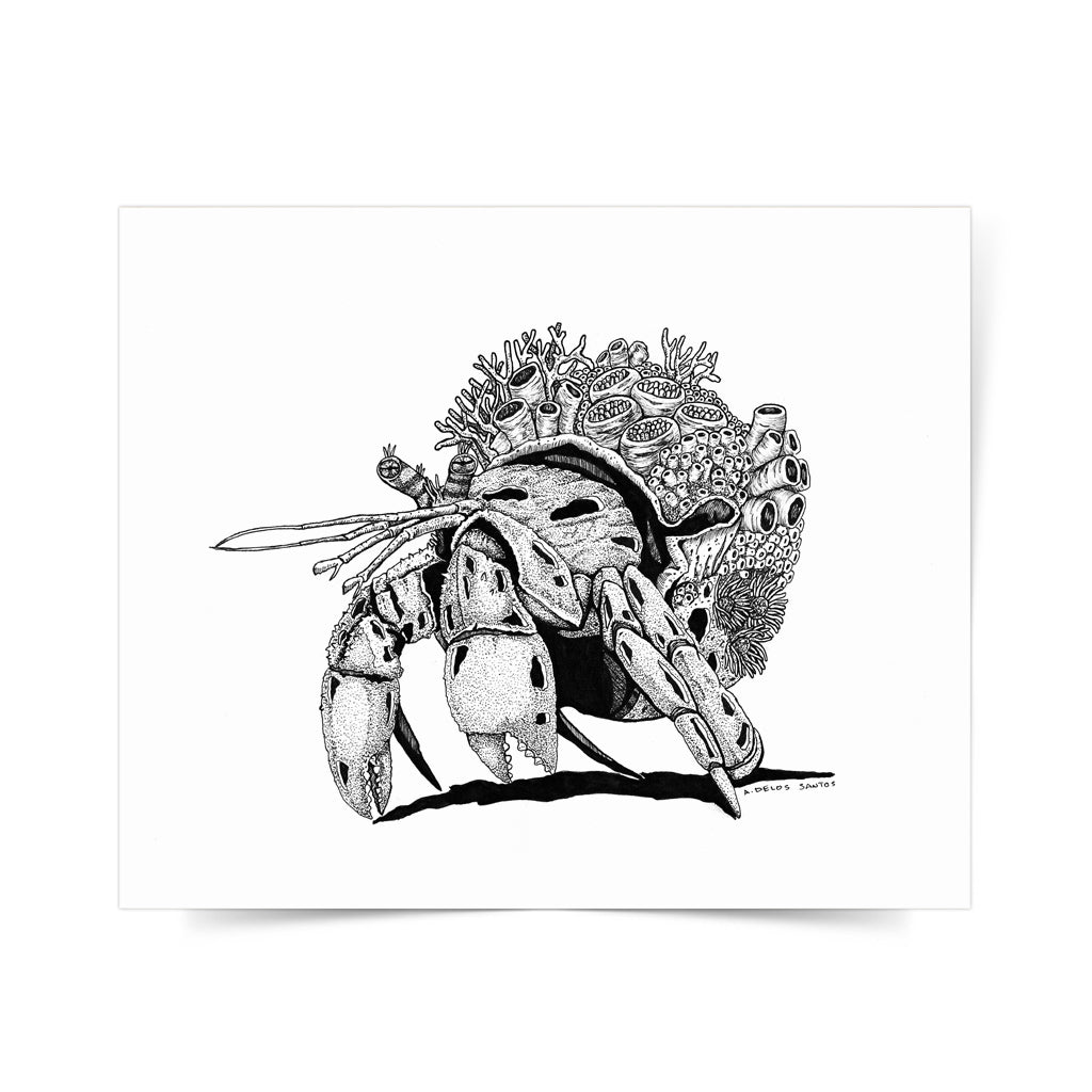 local artist Dumaguete pen and ink style art scene black and white marine life coral protection underwater life hermit Angelo Delos Santos Dumaguete city Philippines print