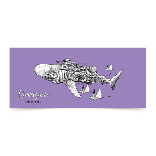 보라색 고래 상어 봉투 5개 세트