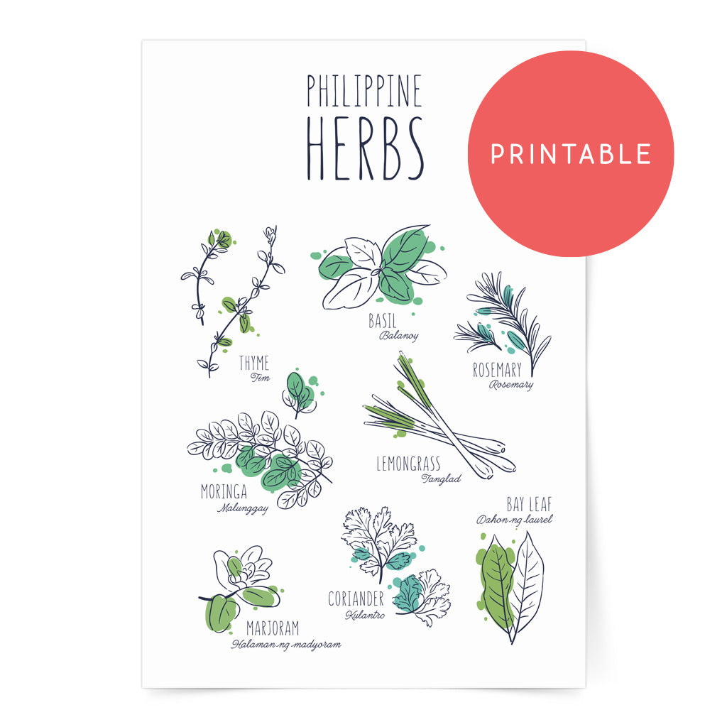 Philippine Herbs Printable Wall Art Poster