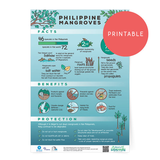 mangrove protection educational poster wall art free animals bakhaw bisaya Negros Oriental protection 