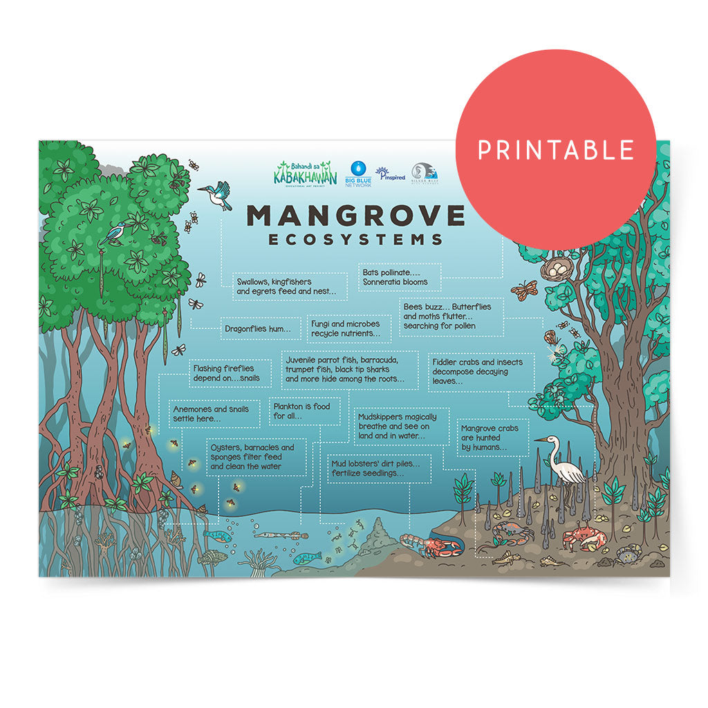 mangrove protection educational poster wall art free animals bakhaw bisaya Negros Oriental protection