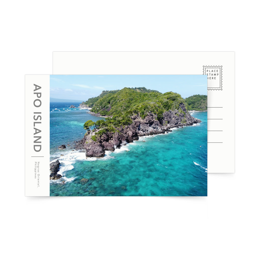 souvenir turtle tourist spot dive diving spot drone photo aerial photography nature negros oriental