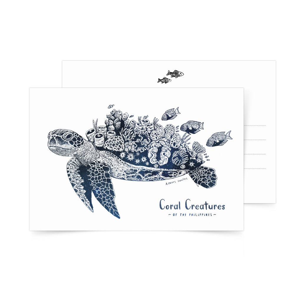 Coral Sea Turtle Postcard – Pinspired Art Souvenirs