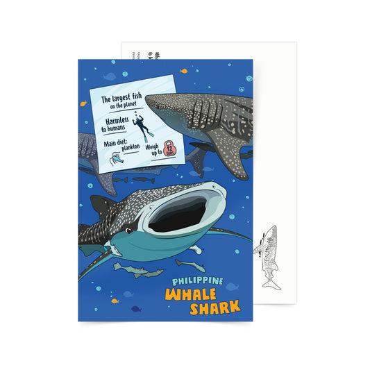 Facts About Philippine Whale Sharks Postcard