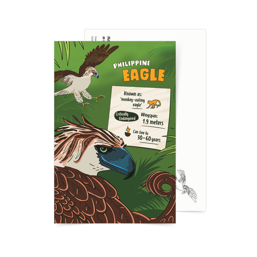 philippine endemic animals national symbol philippines pinoy postcrossing bird monkey-eating snail mail souvenir kids children learning activity game card