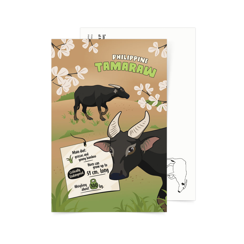 Filipino Philippines Tamaraw Cow endemic species animal educational activity for kids children flash game card