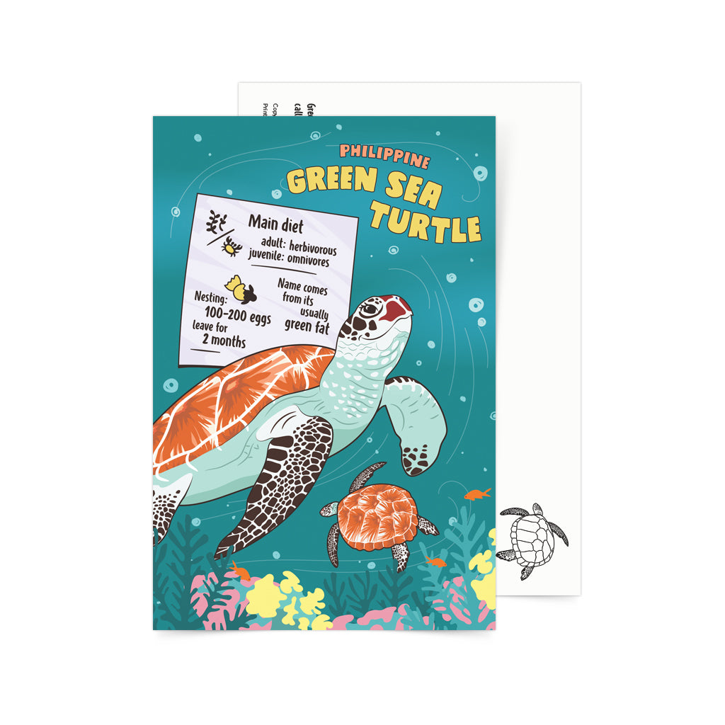 green filipino sea turtle animal postcrossing pinoy mail children game kids activity leaning