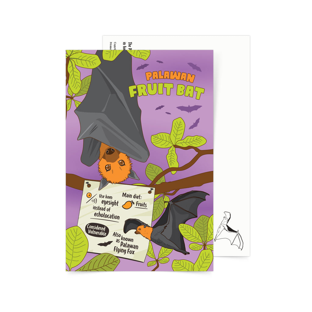 Palawan Philippines Filipino Fruit Bat Endemic species wild animal kids activity educational children card game