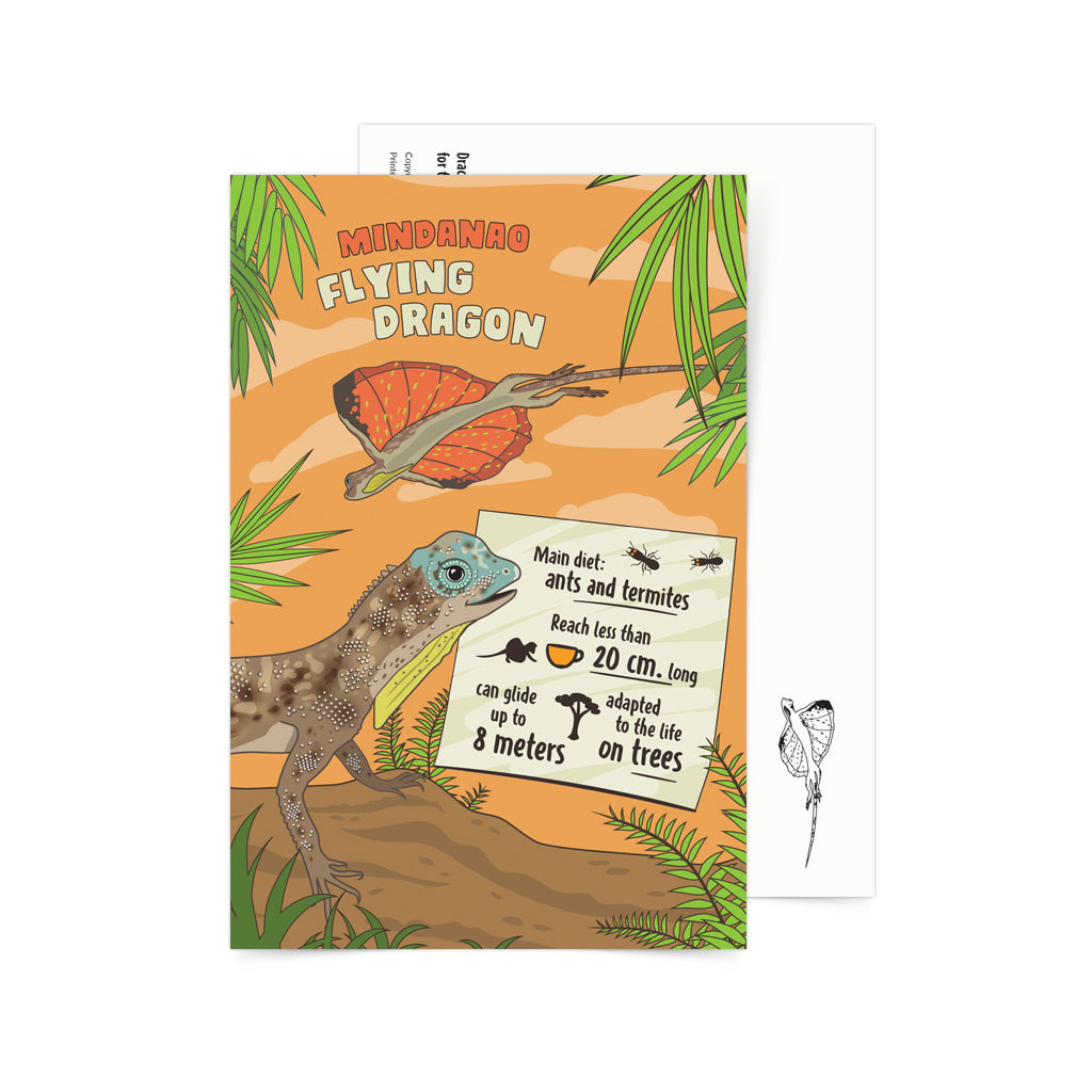 Mindanao Flying Dragon Endemic species animals Philippines kids activity children learning flash card game