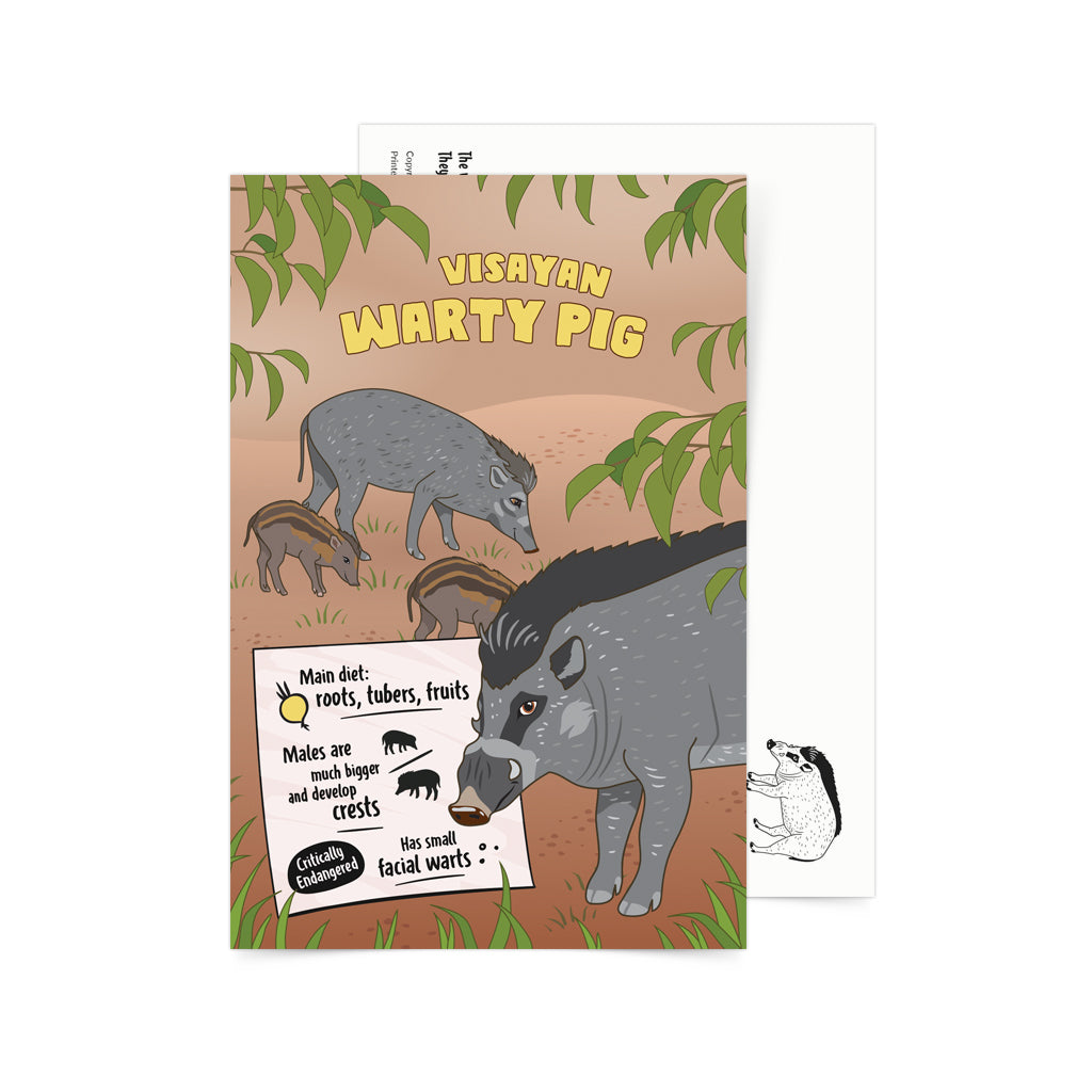 Warty pig VIsayan Visayas Philippines Filipino endemic species animal wild game card children educational activity kids