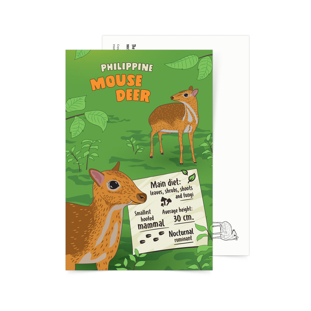 Philippine Filipino Mouse Deer Negros Oriental endemic species animals forest wild kids learning activity children game card