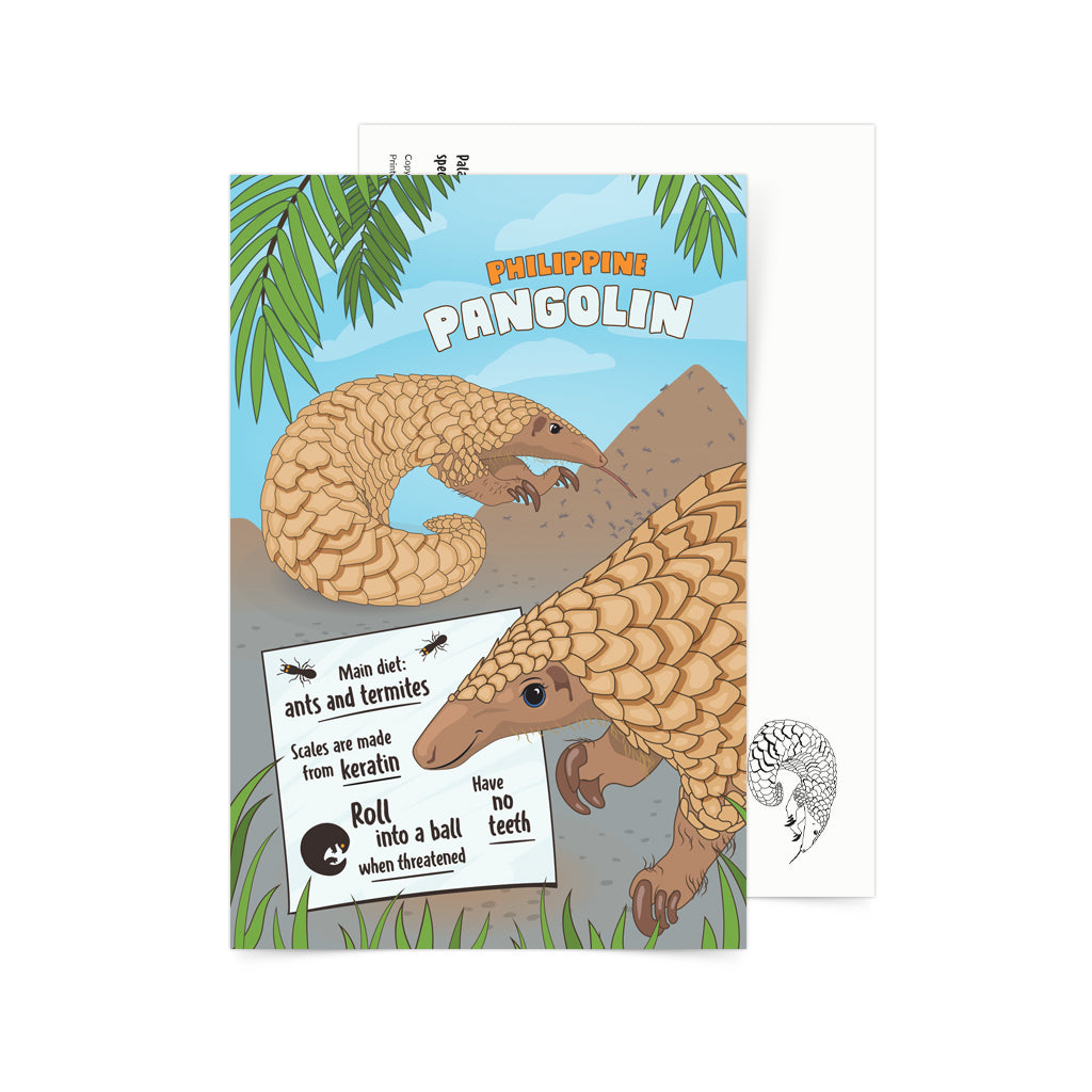 Philippine Pangolin Endemic creature animal wildlife Philippines Filipino Kids activity Children learning game card