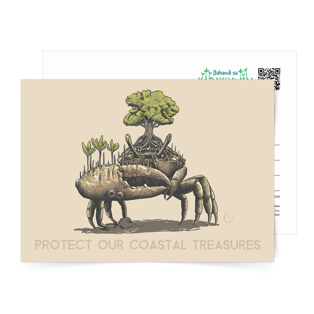 Mangroves protection Philippines Dumaguete Big Blue Network Coastal Treasures Fiddler Crab Animal Wildlife card postcrossing souvenir gift