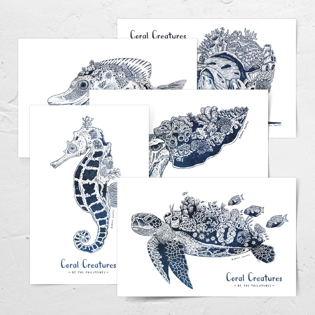 ink pen drawing marine animals creatures art Filipino cuttlefish seahorse green sea turtle hermit crab fish coral detail postcrossing snailmail Philippines underwater pinoy