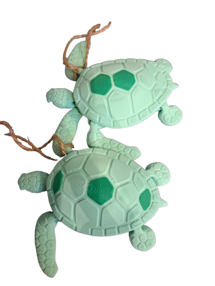 Little Sea Turtle Magnet by 7Art