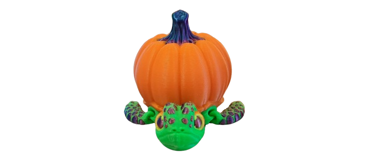 Pumpkin Turtle Magnet