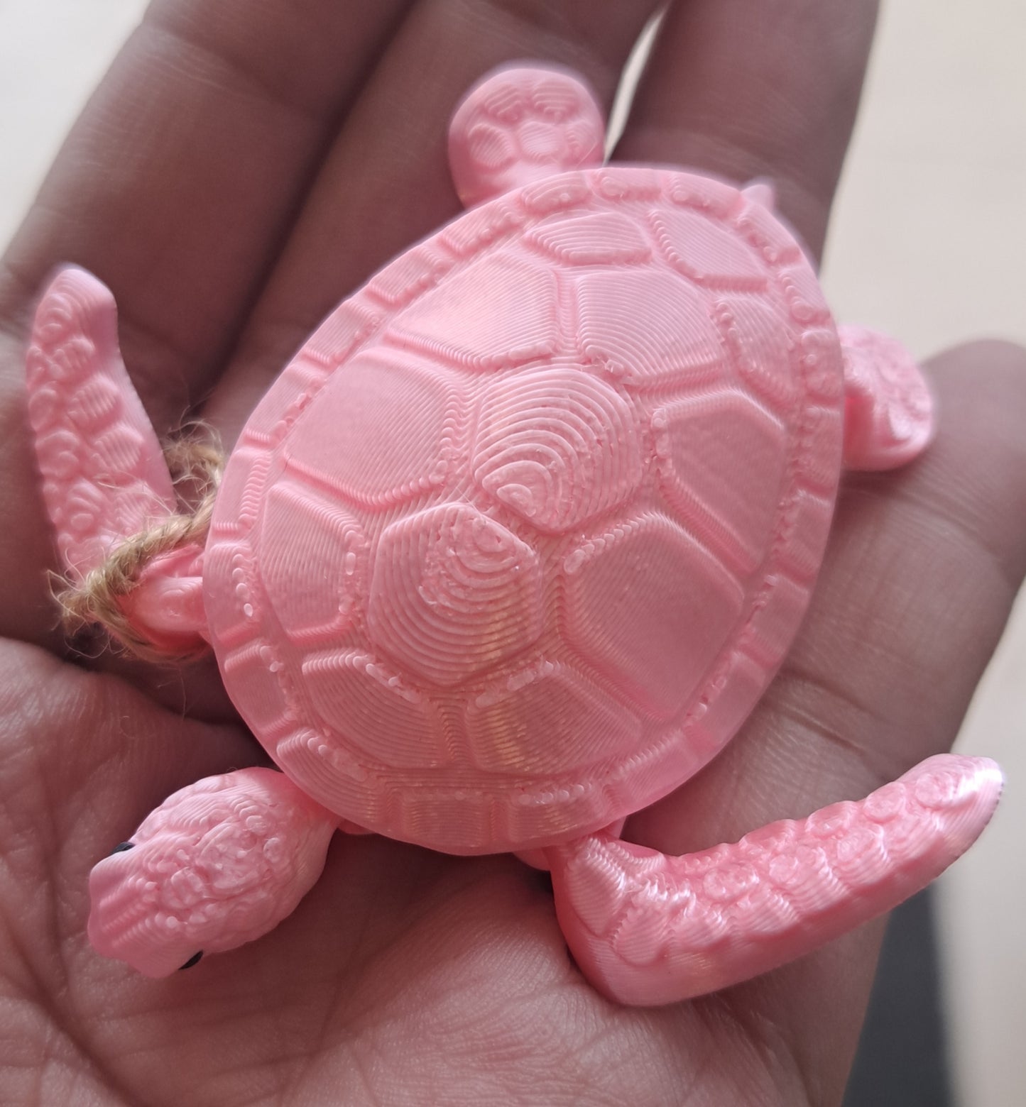 Tiny Baby Sea Turtle Magnet by 7Art