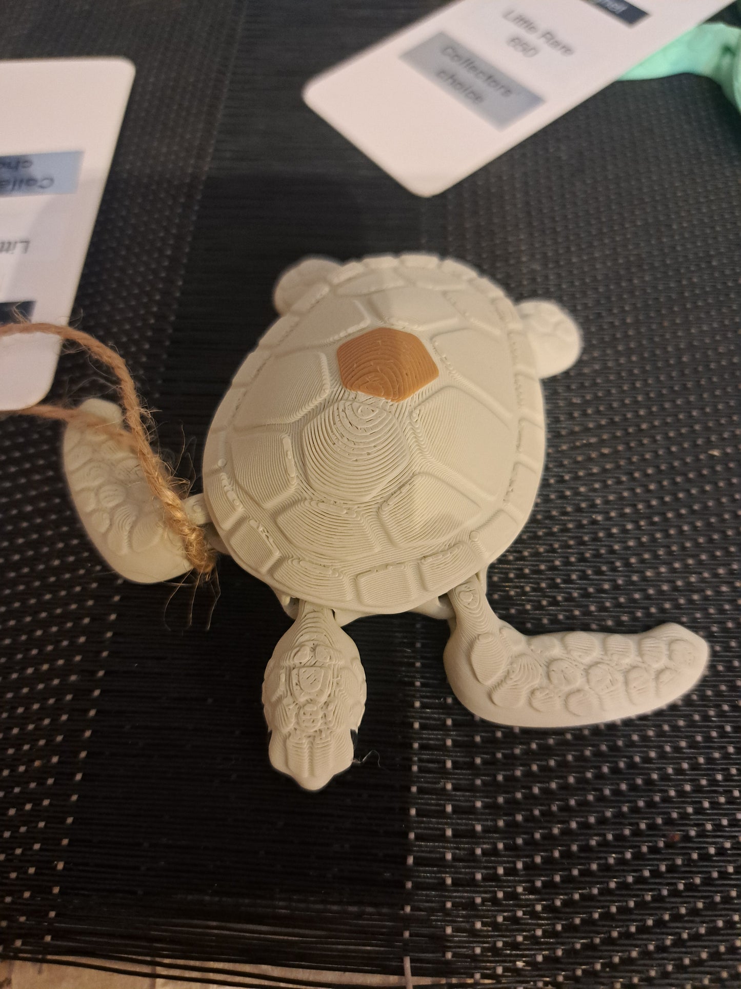 Little Sea Turtle Magnet by 7Art