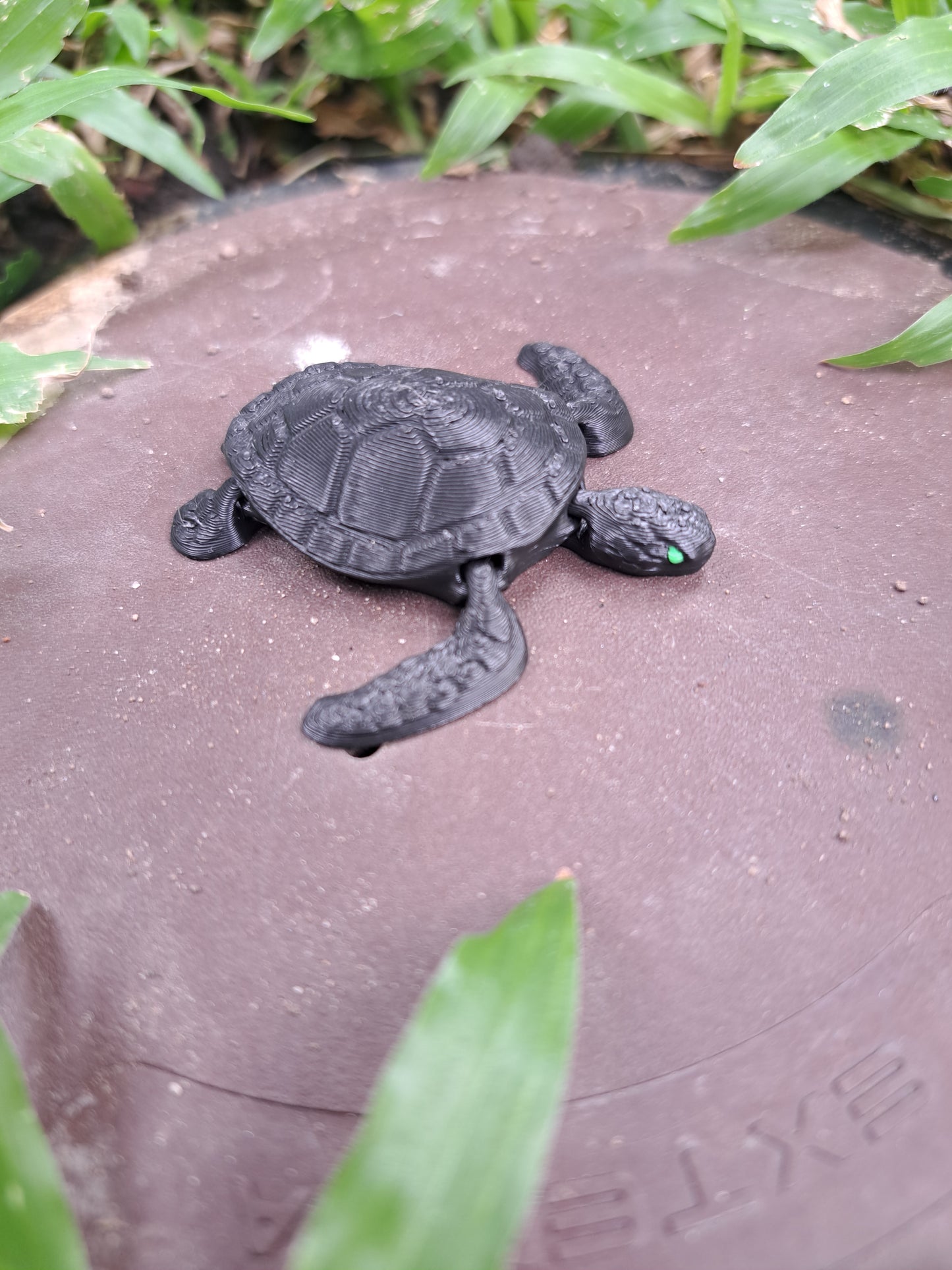 Newborn Baby Sea Turtle Magnet by 7Art