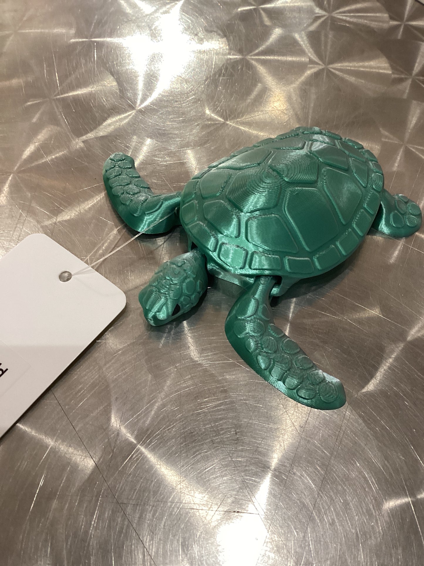 Medium Sea Turtle by 7art