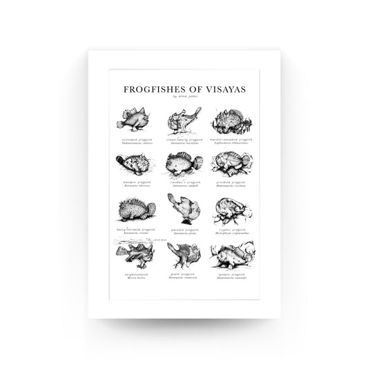 frogfish, underwater, dive, diving, diver, Alma Zosan, artist, Filipino, Negros Oriental, Dauin, ocean, oceanic, pen and ink. black and white, illustration, Philippines, Visaya