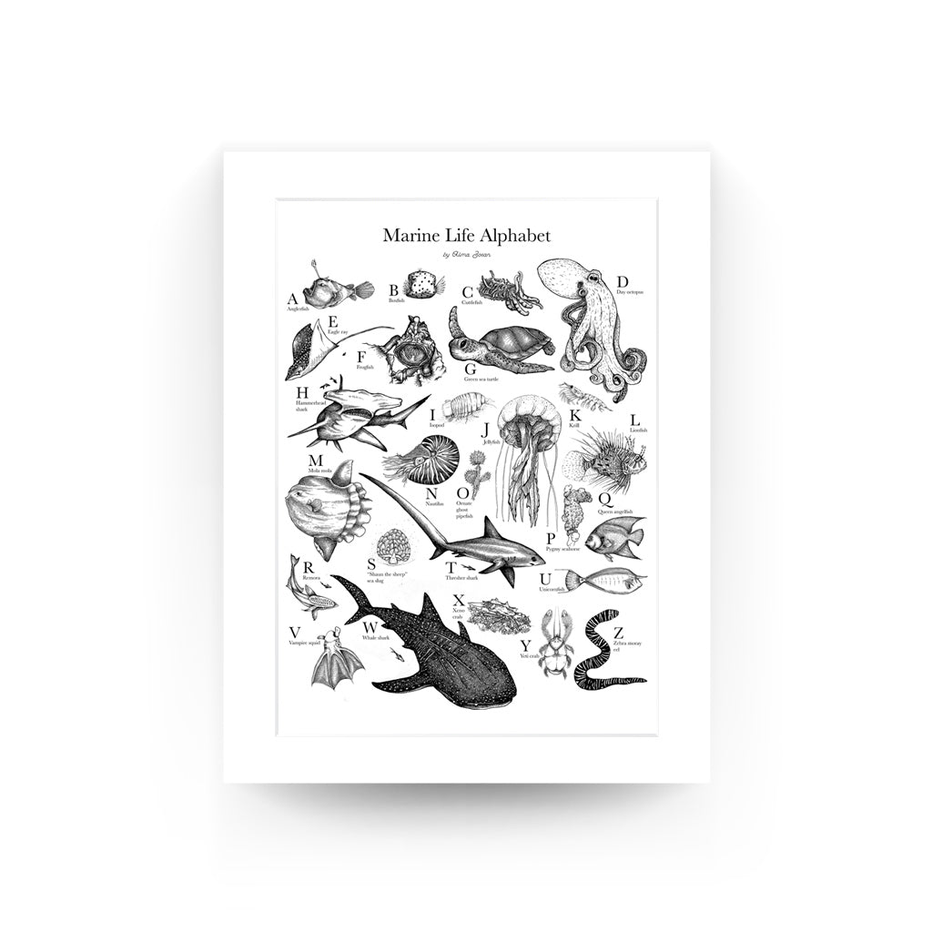frogfish, underwater, dive, diving, diver, Alma Zosan, artist, Filipino, Negros Oriental, Dauin, ocean, oceanic, pen and ink. black and white, illustration, Philippines, Visaya, Alphabet, ABC,