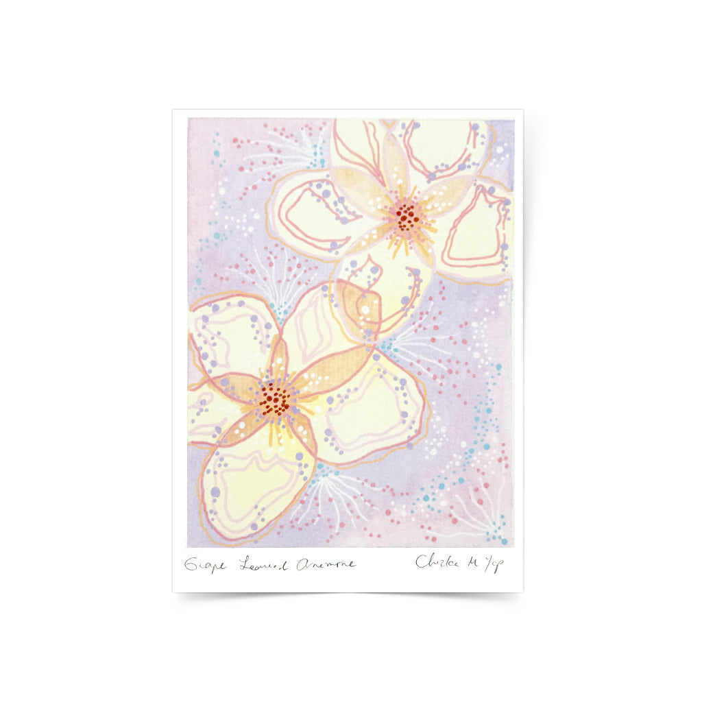 Grape Leaved Anemone Art Print by Purple Seaweed Studio