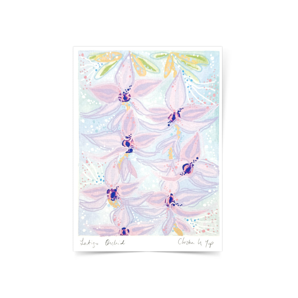 Latigo Orchid Art Print by Purple Seaweed Studio