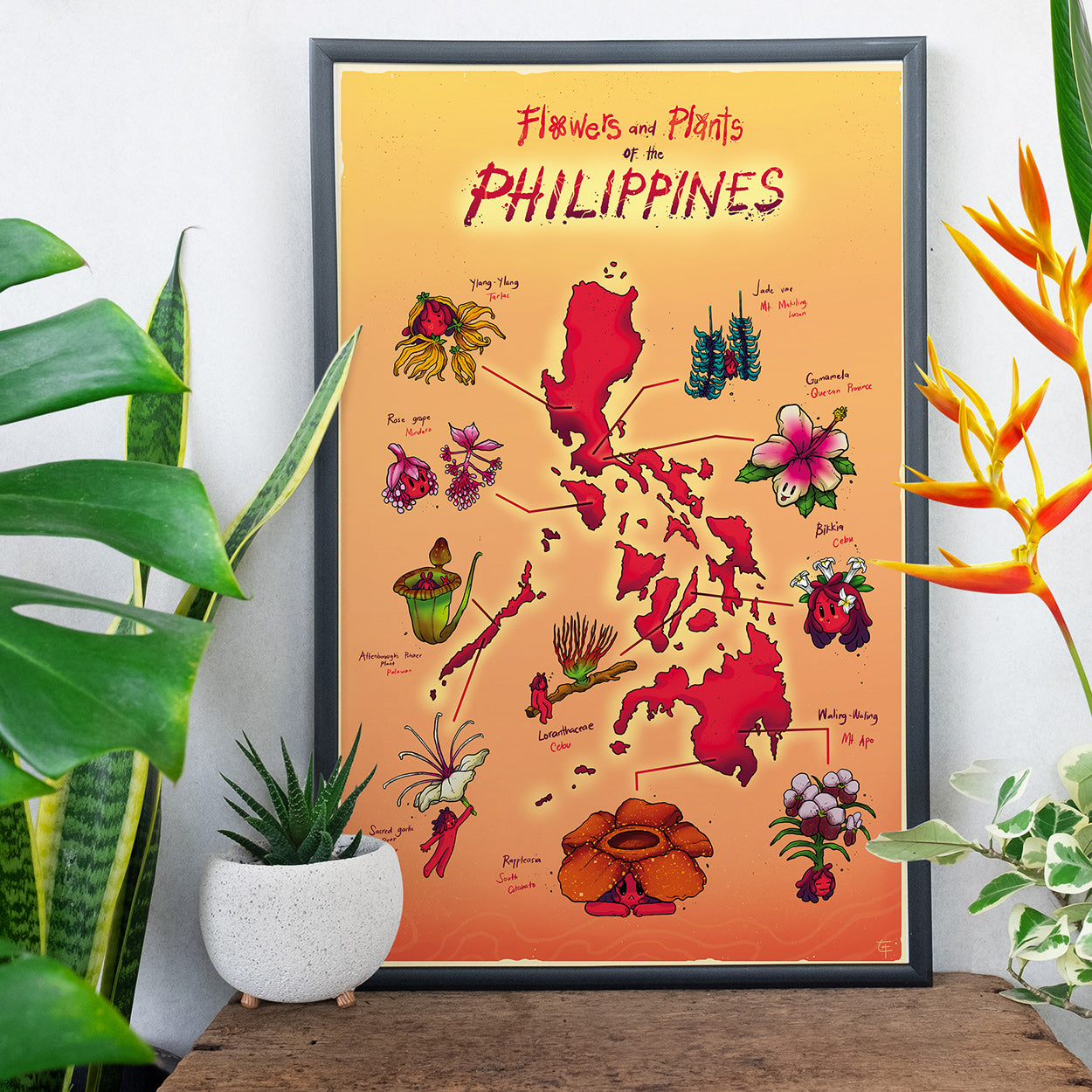 Flowers And Plants Of The Philippines Poster by Cil Flores
