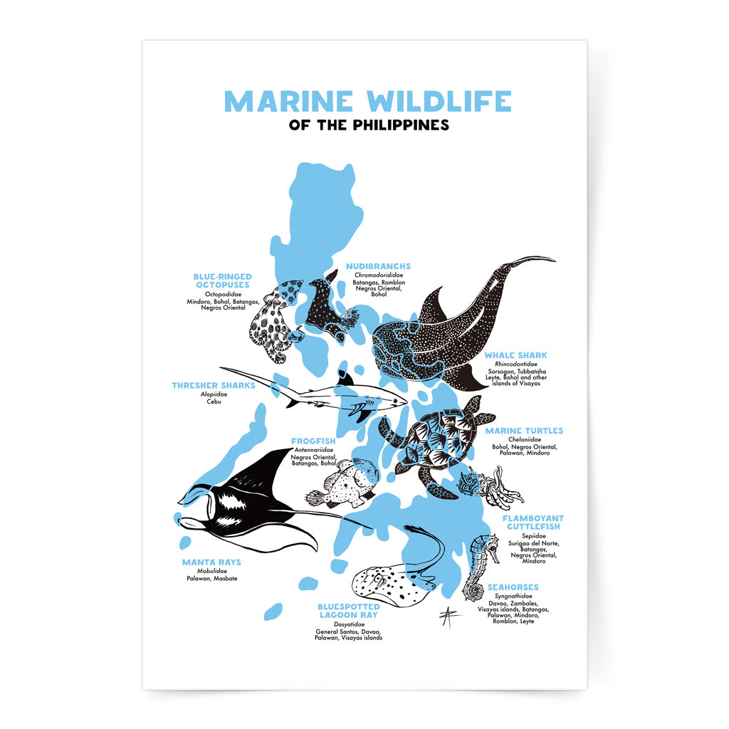 PH map, map, Philippine, marine, wildlife, whale shark, green sea turtles, blue-ringled octopus, thresher shark, manta ray, bluespotted lagoon bay, seahorses, flamboyant cuttlefish, frogish, illustration, art, Filipino artist, Philippines, Islands, marine protection, artwork, decor, decoration, tourist, travel, dive, diving, diver