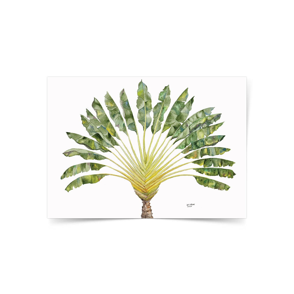 Gretchen Nadine Villanueva-Heras, GretchensWater, Dumaguete city, Bais, artist, Filipino, watercolor, palms, natural art, nature, tropical, Tropical State of Mind, Pinspired Art Souvenirs, Bais City, decor, wall decor, alm leafs, frame, limited,  gift idea